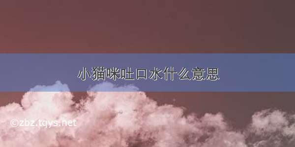 小猫咪吐口水什么意思