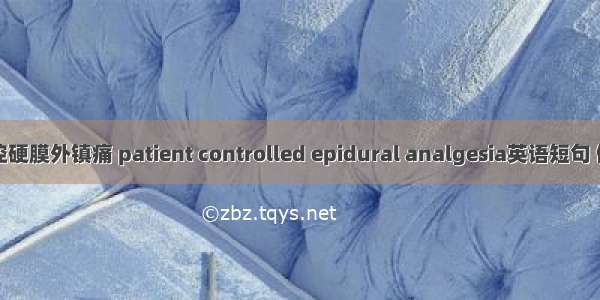 患者自控硬膜外镇痛 patient controlled epidural analgesia英语短句 例句大全