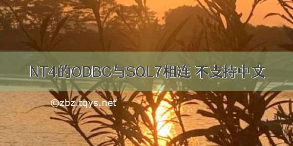 NT4的ODBC与SQL7相连 不支持中文