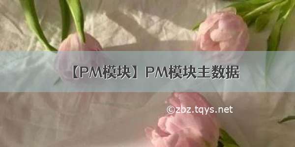 【PM模块】PM模块主数据