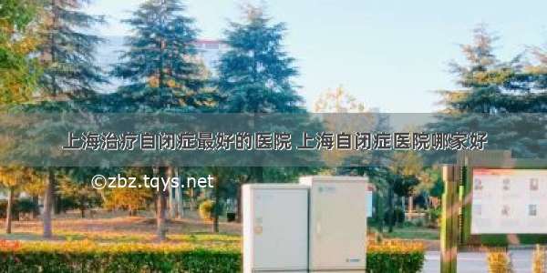 上海治疗自闭症最好的医院 上海自闭症医院哪家好