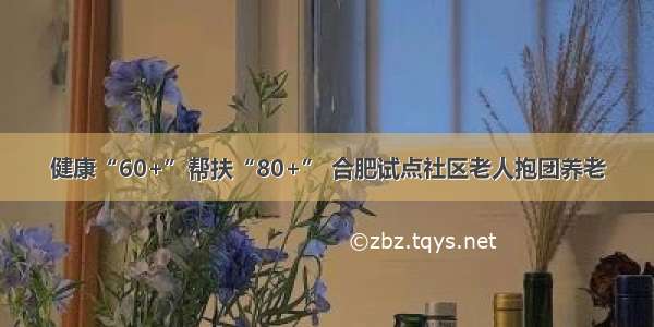 健康“60+”帮扶“80+” 合肥试点社区老人抱团养老