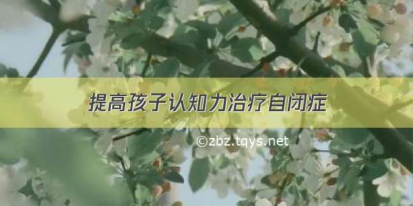 提高孩子认知力治疗自闭症