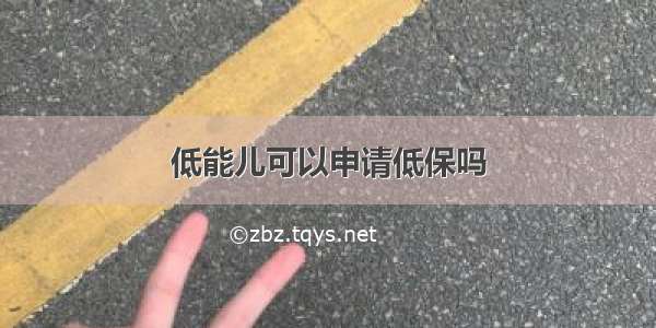 低能儿可以申请低保吗