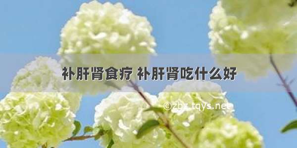 补肝肾食疗 补肝肾吃什么好