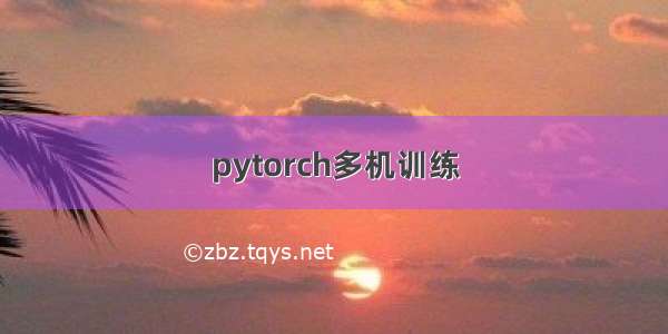 pytorch多机训练