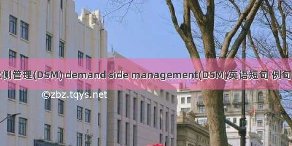 需求侧管理(DSM) demand side management(DSM)英语短句 例句大全