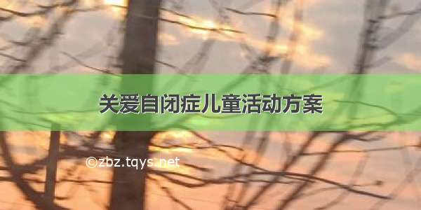 关爱自闭症儿童活动方案