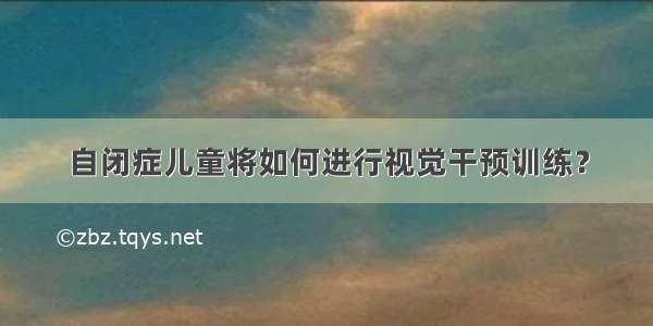 自闭症儿童将如何进行视觉干预训练？