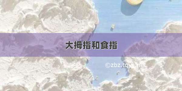 大拇指和食指