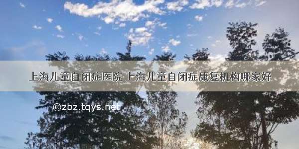 上海儿童自闭症医院 上海儿童自闭症康复机构哪家好