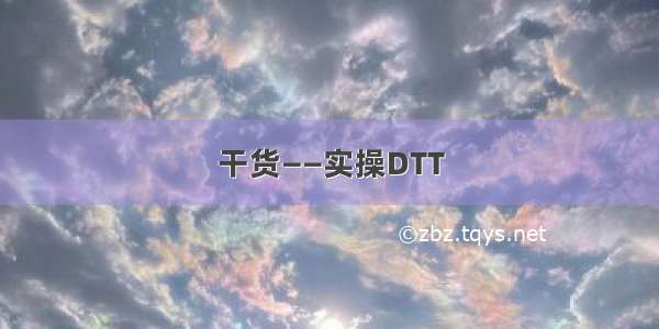 干货——实操DTT