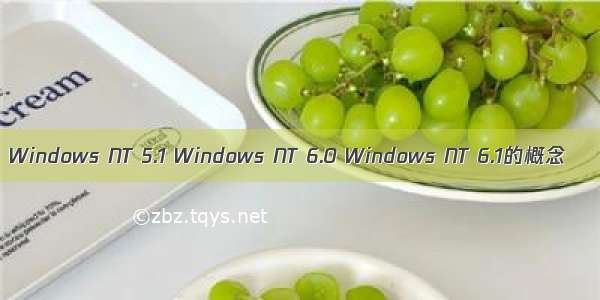 Windows NT 5.1 Windows NT 6.0 Windows NT 6.1的概念