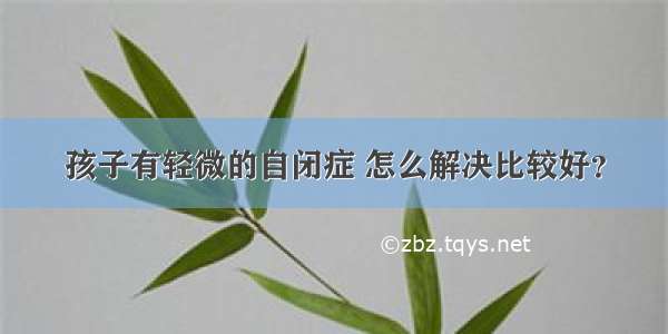 孩子有轻微的自闭症 怎么解决比较好？