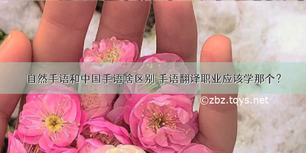 自然手语和中国手语啥区别 手语翻译职业应该学那个？