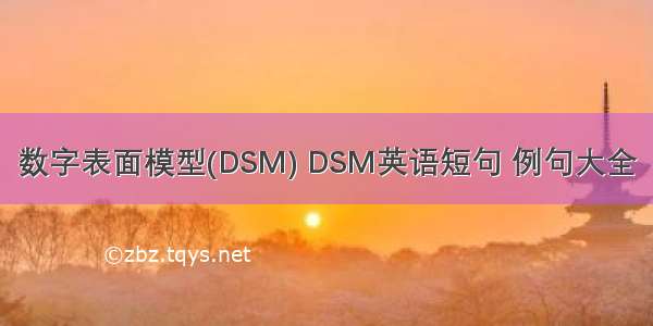 数字表面模型(DSM) DSM英语短句 例句大全