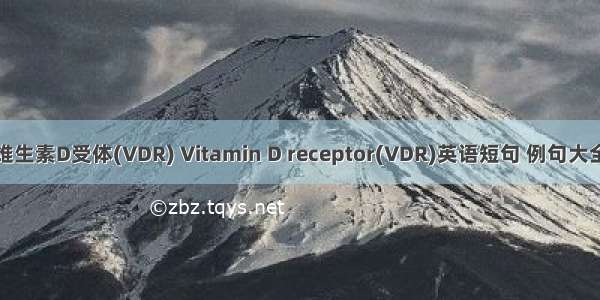 维生素D受体(VDR) Vitamin D receptor(VDR)英语短句 例句大全