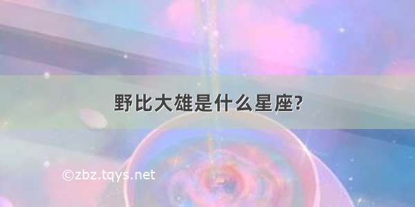 野比大雄是什么星座?