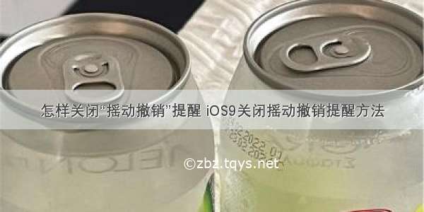 怎样关闭“摇动撤销”提醒 iOS9关闭摇动撤销提醒方法