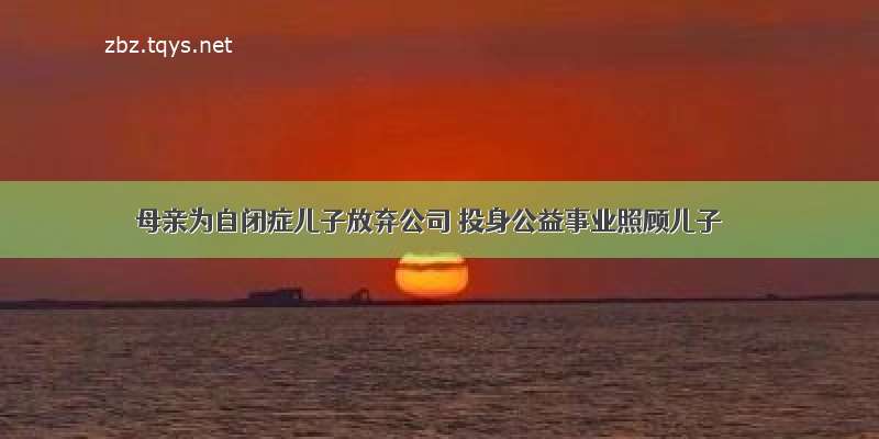 母亲为自闭症儿子放弃公司 投身公益事业照顾儿子