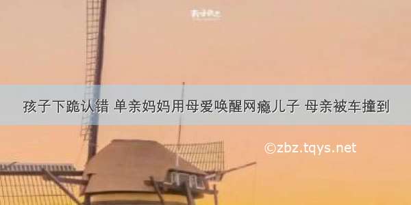 孩子下跪认错 单亲妈妈用母爱唤醒网瘾儿子 母亲被车撞到