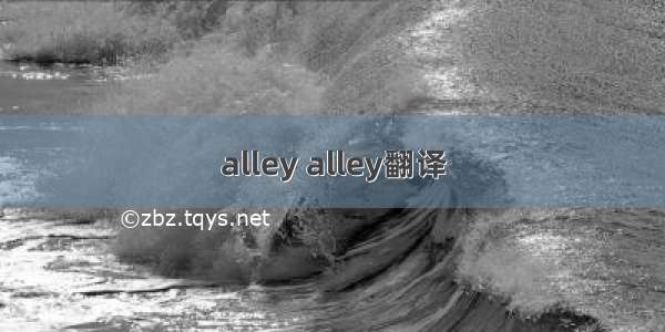 alley alley翻译