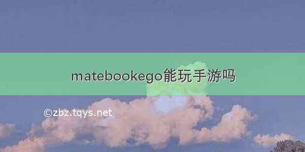 matebookego能玩手游吗