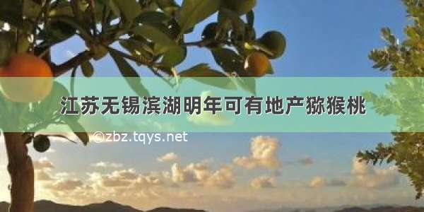 江苏无锡滨湖明年可有地产猕猴桃