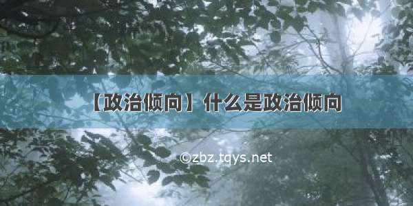 【政治倾向】什么是政治倾向