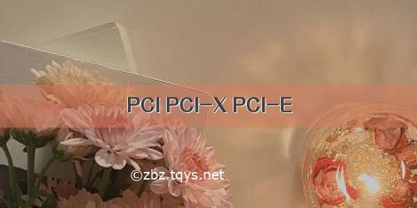 PCI PCI-X PCI-E