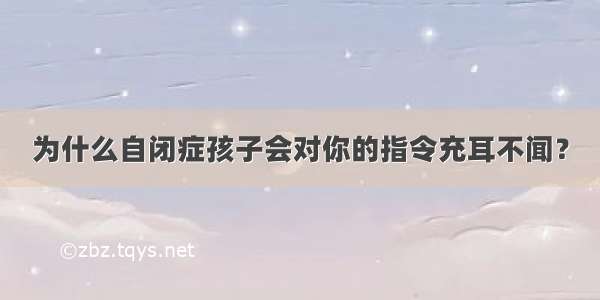 为什么自闭症孩子会对你的指令充耳不闻？