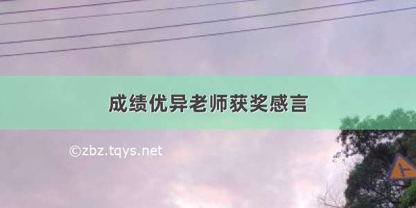 成绩优异老师获奖感言