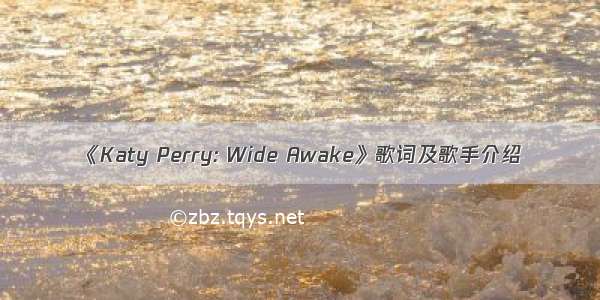 《Katy Perry: Wide Awake》歌词及歌手介绍