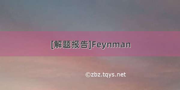 [解题报告]Feynman