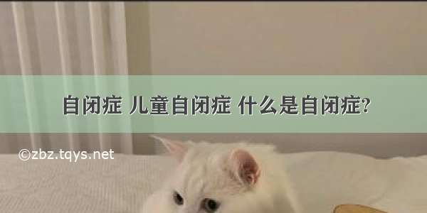 自闭症 儿童自闭症 什么是自闭症?