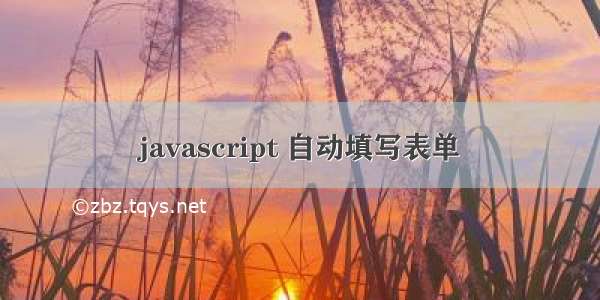 javascript 自动填写表单