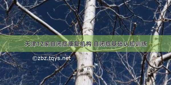天津12家自闭症康复机构 自闭症基础认知训练
