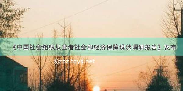 《中国社会组织从业者社会和经济保障现状调研报告》发布