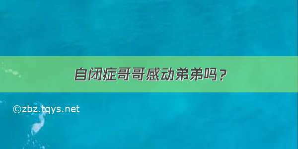 自闭症哥哥感动弟弟吗？