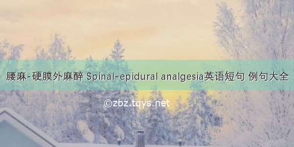 腰麻-硬膜外麻醉 Spinal-epidural analgesia英语短句 例句大全