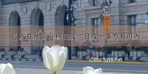 【人在他乡】杨日成：日成一事方有可为