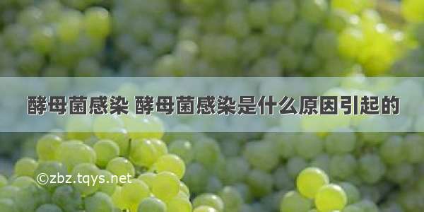 酵母菌感染 酵母菌感染是什么原因引起的