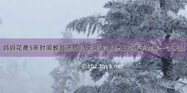 妈妈花费5年时间教自闭症儿子说话 意外发现孩子的另一个天赋