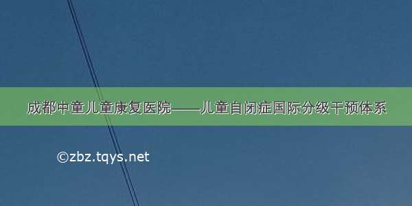 成都中童儿童康复医院——儿童自闭症国际分级干预体系