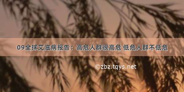 09全球艾滋病报告：高危人群很高危 低危人群不低危