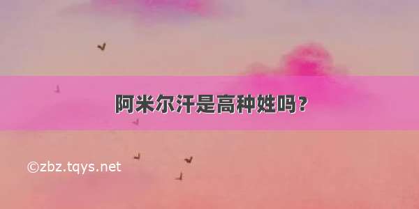 阿米尔汗是高种姓吗？