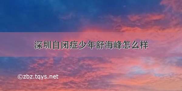 深圳自闭症少年舒海峰怎么样