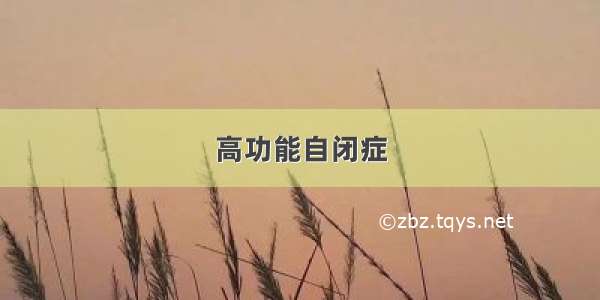 高功能自闭症