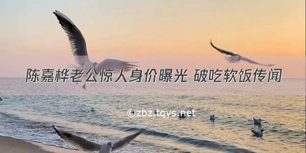 陈嘉桦老公惊人身价曝光 破吃软饭传闻