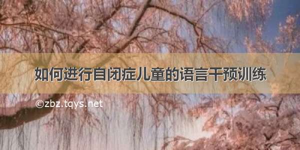 如何进行自闭症儿童的语言干预训练